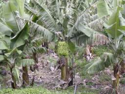 Resize of P21010154.JPG